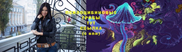 тгк Абаза