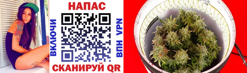 наркота  дарк нет Telegram  Канабис Bruce Banner  Зея 